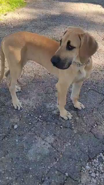 Lady Cracker Jack Aka Jackie in Houston, Texas