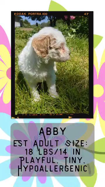 Abby in Goshen, Indiana