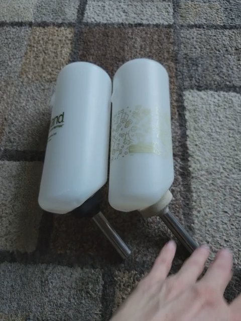 32-64oz Dog Water Bottles in Rome, Georgia