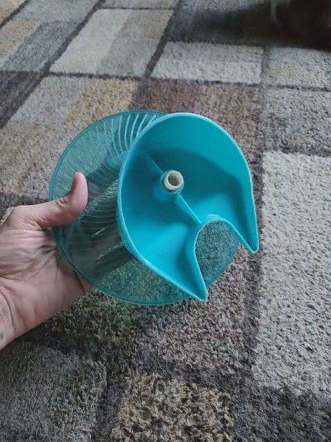 MD. Rodent Wheel in Rome, Georgia